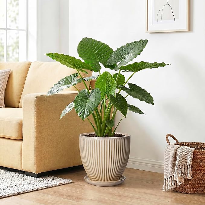 Ceramic Planter, 10 Inch Plant Pot for Large Indoor Plants, Decorative Planters with Drainage Hole and Saucer, Round Flower Pot, Modern Planter, Home Garden Decor, Beige