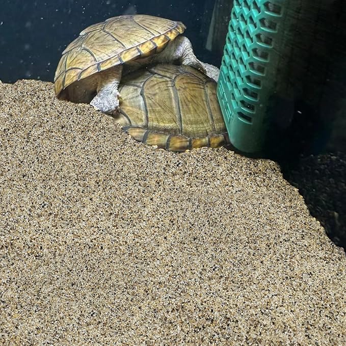 FANTIAN 40 lbs Aquarium Sand. 1/16 Inch Fish Tank Coarse Sand Pea Gravel for Aquarium, Terrariums, Vase Filler, Plant, Soil Drainage and Outdoor Gardens, Landscaping