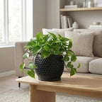 Plant Pots, Modern 3D Printed Honeycomb Planters for Indoor Plants, 4.7 Inch Matte Black Decorative Flower Pot for Office Desktop, Bookshelf & Home Decor, Lightweight & Durable.