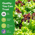 Heirloom Lettuce Seeds - 5 Varieties, Non-GMO Seeds for Planting - Black Seeded Simpson, Iceberg, Buttercrunch, Parris Island Cos & Lolla Rossa Lettuce - Home Garden & Hydroponic Seeds