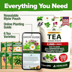 HOME GROWN Medicinal Herb Seeds Vault – 2,000+ Seeds, 6 Non GMO Heirloom Varieties for Indoor & Outdoor Garden – Lavender, Chamomile, Mint, Lemon Balm, Peppermint, Echinacea