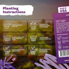 KVITER 20,000 Creeping Thyme Seeds (Thymus Serpyllum) – Wild Thyme, Aromatic Ground Cover, Purple Perennial Flower Seed Packets – Great Non GMO Herb Seeds for Outdoor Garden, Landscapes & Paths