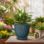 6 Inch Plant Pot, Ceramic Flower Pots for Indoor Plants, Round Planters with Drainage Hole and Saucer, Decorative Small Modern Flower Pots, Home Room Decor, House Warming Gifts, Retro Blue