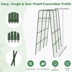 Cucumber Trellis for Raised Bed, 63" Heavy Duty U-Shape Garden Trellis for Climbing Plants Outdoor, Rustproof Plastic Metal Arch Vegetables Trellis Plant Support for Vine, Fruits, Beans and Flowers