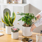 vancasso Ceramic Plant Pots, 4.25+5.25+6.25 Inch Planter Pot with Drainage Hole, Flower Pots for Indoor Outdoor Plants, Set of 3, White