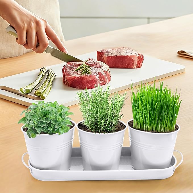 TCBWFY Indoor Herb Garden Planter Set - 3 Pack 4.7" White Metal Plant Pots with Drainage Holes & Removable Tray - Windowsill Kitchen Counter Balcony Office Garden