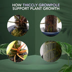 THICCLY Medium GrowLid 5 Pcs (Clear) - Self Watering Clear D-Shaped Plastic Moss Pole Hydroponics Growing System Kratky Hydroponic Kit Moss Pole Monstera Plant Support Philodendron and Anthuriums