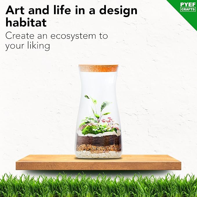 DIY Terrarium Kit for Adults – Build Your Own Self‑Sustaining Closed Ecosystem – 34 fl oz (1‑Liter) Glass Terrarium – Succulents, Air Plants, Fittonia, Fern – Plants Not Included