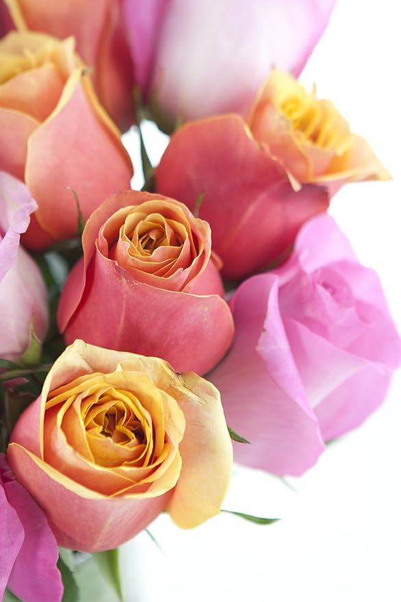 KaBloom - Brighten My Day! Bouquet - With Vase - Fresh Flowers for Birthday, Valentine's & Mother's Day