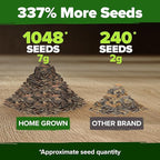 HOME GROWN USA Premium Zinnia Dahlia Seeds Pack for 2026,1048 Non-GMO Flower Seeds, Vibrant Zinnia Elegans for Planting Pollinator Gardens, Borders & Containers, Easy-to-Grow Outdoor Blooms