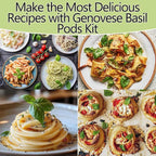 Herb Seed Pods Kit Basil - for All Hydroponics Growing Systems, 12 Pods Herb Kit with 1000+ Seeds of Genovese Basil, Grow Your Own Herb Garden at Home