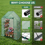 Greenhouse for Outdoors,55 x 28 x 78'' Small Greenhouse,Walk in Plant Greenhouses with 3 Tiers 6 Shelves,Heavy Duty with Durable PE Cover,Heavy Duty Plant Greenhouses for Garden and Backyard