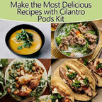 Cilantro Seed Pods for All Hydroponics Growing Systems, 12 Pods Herb Kit with 200+ Seeds of Cilantro, Grow Your Own Herb Garden at Home