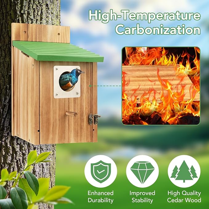 Bird Houses for Outside - Cedar Bluebird Houses with Metal Predator Guard, Birdhouse for Wren Bluebirds Finches Swallows, Carbonized Wooden Birdhouse (Assembly Required)