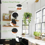 10 Inch Hanging Planters for Indoor Plants, 2 Pack Self Watering Hanging Baskets Flower Pots with Drainage Hole, Visual Reservoir & 2 Kinds of Plant Hanger for Outdoor Garden Home Decor（Black）