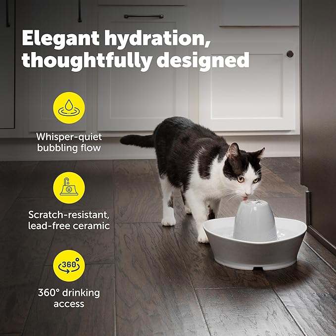 PetSafe Ceramic Pet Fountain with 4-Pack of Carbon Filters for Cats and Small Dogs 60 Oz Water Capacity Whisper-Quiet Water Flow Great for Shy or Timid Pets Fresh, Filtered Water