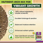 DUSPRO Recycle Premium Bonsai Soil Mix Ready to Use Pre-Mixed 5in1 with Akadama, Pumice, Vermiculite, and Peat Moss Professional Bonsai Potting Soil Mix 4 Qrt