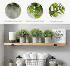 Lemonfilter Fake Plants, 3PCS Small Artificial Plants Indoor in Pots Plastic Eucalyptus Home Plant Desk Greenery Decor, Plastic Small Faux Potted Plant for Bathroom Bedroom Shelves Decor