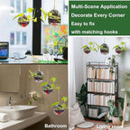 3 Pack Hanging Propagation Stations with Care Tool Kit (Squeeze Bottle & Tweezers Included), Glass Wall Planters for Indoor Plants, Hydroponic Terrarium Vases, Plant Lover Gifts for Women, Home Decor