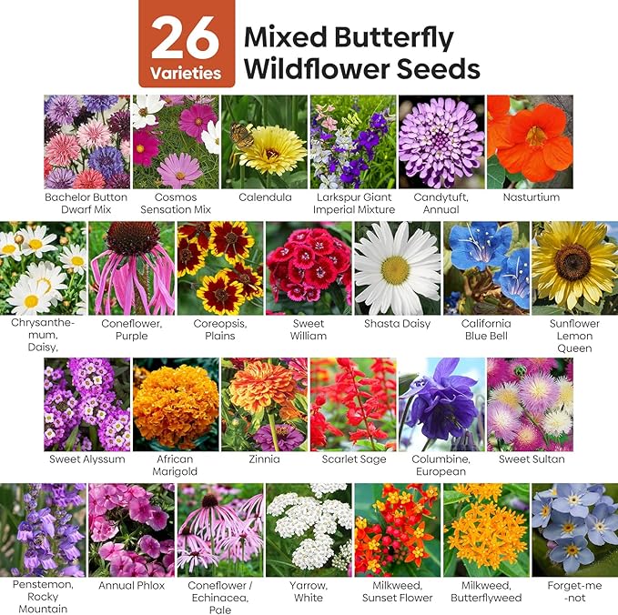 Groundio Wildflower Seeds Bulk, 4 Ounce, 200,000+ Seeds, 26 Varieties Annual & Perennial Flower Seeds Mix with Zinnia, Milkweed, Butterflyweed, Attracts Pollinators, Plant in Spring or Fall