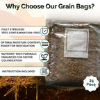 MycoHaus Mushroom Growing Kit with Injection Ports | Sterilized Rye Grain | Magic Indoor Grow Bags for Mushrooms | Home Cultivation Supplies | Without Spores | 1 Pound (36 Pack)