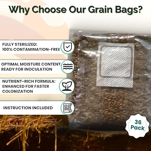 MycoHaus Mushroom Growing Kit with Injection Ports | Sterilized Rye Grain | Magic Indoor Grow Bags for Mushrooms | Home Cultivation Supplies | Without Spores | 1 Pound (36 Pack)