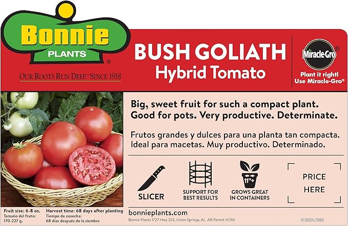 Bonnie Plants Bush Goliath Tomato, Live Plant, 19.3 oz., 4-Pack
