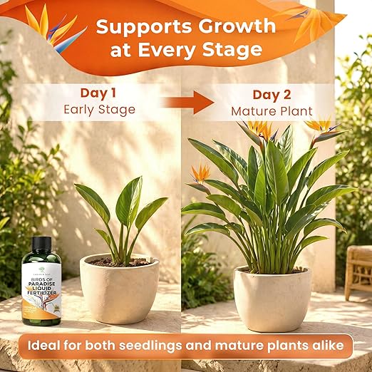 Professional Bird of Paradise Fertilizer Liquid 3-1-2 Concentrate 8 oz, Premium Plant Food for Indoor Bird of Paradise Plants, Liquid Fertilizer for Houseplants, Made in USA