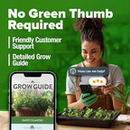 HOME GROWN Non GMO 500+ Cilantro Seeds (Fast Growing) Heirloom Coriander Seeds for Planting Indoors & Outdoors Santo Cilantro Herb for Kitchen Garden, High Germination