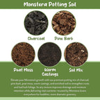 Soil Sunrise Monstera Houseplant Potting Soil Mix (8 Quarts) Custom Blend for Growing and Repotting