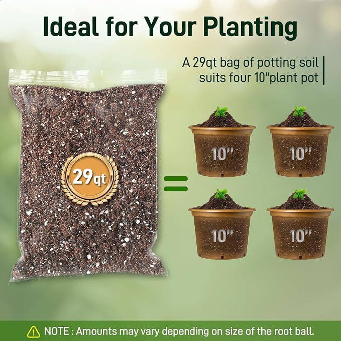 29QT Potting Soil Mix for Indoor Plants - Contains Perlite, Peat Moss, Coco Coir & Rice Charcoal, Natural & Organic Material with Well-Draining, Light & Aerated Texture for Healthy Roots & Fast Growth