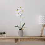 Mikasa Artificial Orchid in Pot, Real Touch Phalaenopsis Orchid, Embossed Weave Cement Pot, 16-Inch Single Branch, White/Yellow
