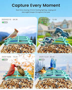 Smart Bird Feeder Camera (Dual Panel), Solar Powered, Identify 11,000+ Birds with AI, Auto Capture & Notify, 2K HD Footage, Outdoor Bird Watching, Ideal Gift for Birds Lovers.