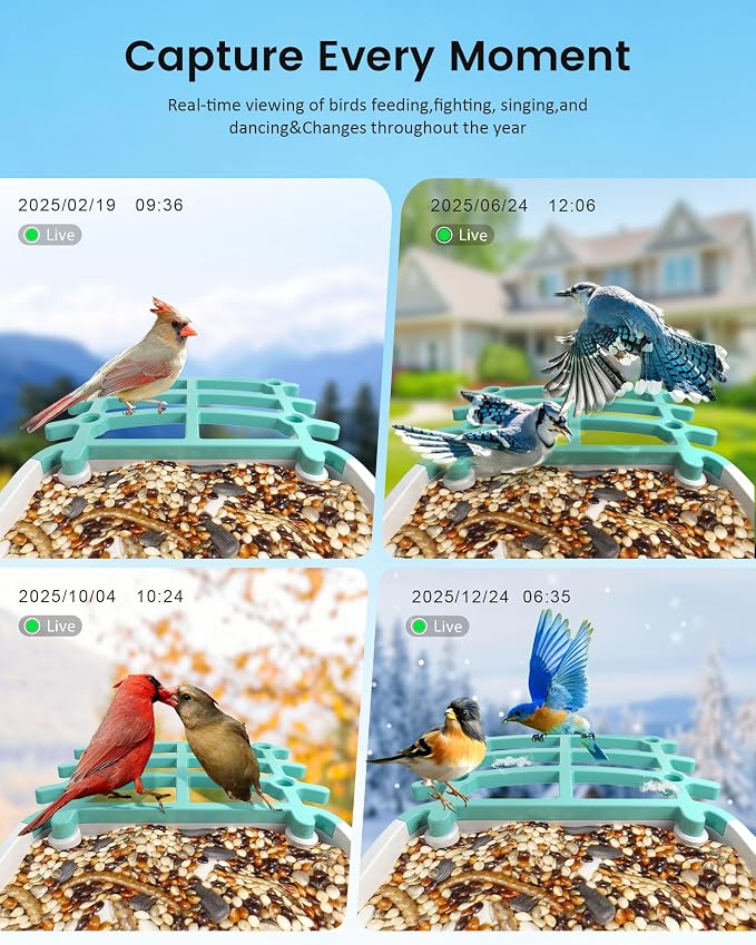 Smart Bird Feeder Camera (Dual Panel), Solar Powered, Identify 11,000+ Birds with AI, Auto Capture & Notify, 2K HD Footage, Outdoor Bird Watching, Ideal Gift for Birds Lovers.