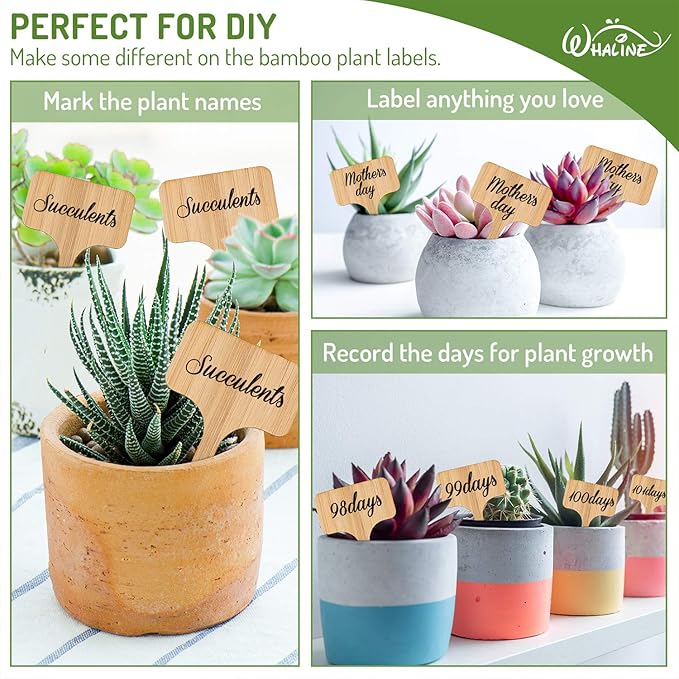 Whaline 30Pcs Wood Plant Labels with A Marker Pen, T-Type Wooden Plant Marker Garden Sign Tags Garden Markers for Seed Potted Herbs Flowers Vegetables, 2.4 x 3.9 Inch