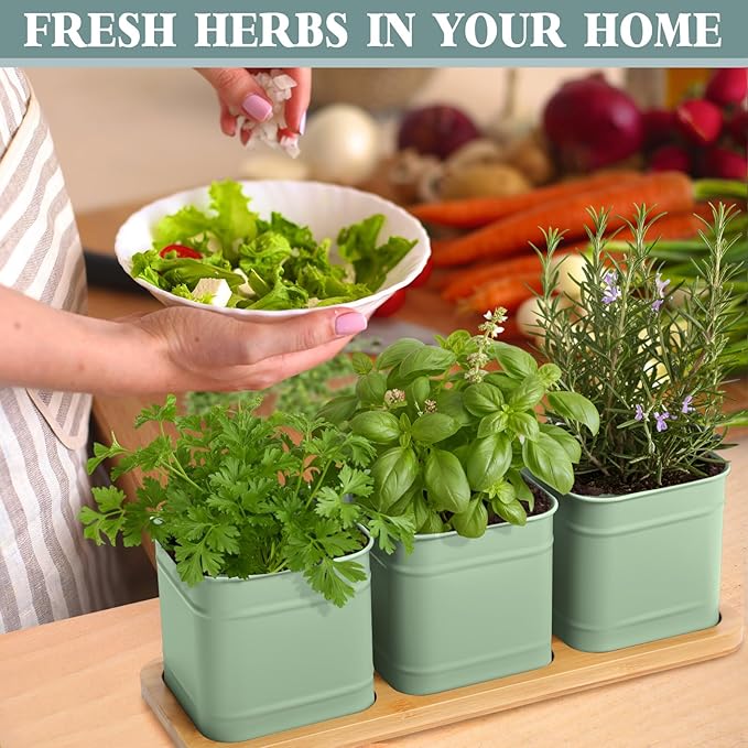 LemonRoad 6 Pcs Indoor Herb Planter Window Herb Pots for Kitchen with Drainage Hole and Bamboo Tray Farmhouse Metal Garden Planter Pot with DIY Label Mom Plant Gift(Sage Green,Square)
