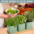 LemonRoad 6 Pcs Indoor Herb Planter Window Herb Pots for Kitchen with Drainage Hole and Bamboo Tray Farmhouse Metal Garden Planter Pot with DIY Label Mom Plant Gift(Sage Green,Square)
