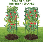 6 Pack Tomato Cage,Tomato Cage for Raised Garden Bed, 48'' Tall Tomato TrellisTriangle or Square Cages for Garden,Pots, Plant Cages & Supports（Green, Extra Bold ）