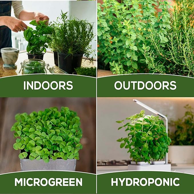 Assorted Collection of Spice Herb and Green Lettuce Seeds - Non GMO USA Grown - 34 Heirloom Varieties for Hydroponic Indoor and Outdoor Planting - Salad and Tea Seeds for Home Growing