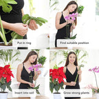 2 Pack Plant Stakes | Plant Supports for Tall Plants and Flowers | Green Garden Stakes | Help Your Flowers Grow | Tomato Cages for Garden | Plant Sticks for Orchid, Amaryllis, Peony, Peppers and More