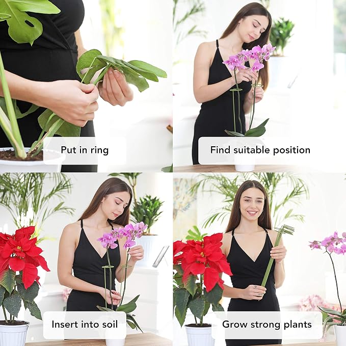 2 Pack Plant Stakes | Plant Supports for Tall Plants and Flowers | Green Garden Stakes | Help Your Flowers Grow | Tomato Cages for Garden | Plant Sticks for Orchid, Amaryllis, Peony, Peppers and More