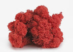 SuperMoss 7 59834 21785 5 Reindeer Moss Preserved, Appx. 3 lb Bulk Case, Red