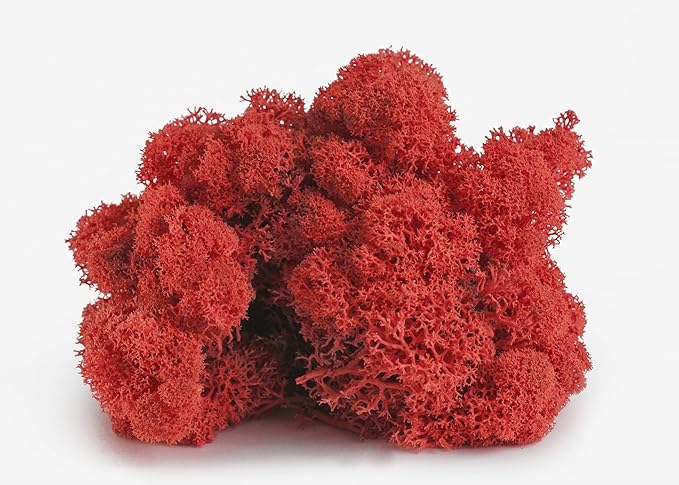 SuperMoss 7 59834 21785 5 Reindeer Moss Preserved, Appx. 3 lb Bulk Case, Red