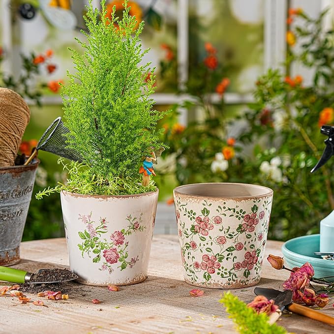 Sungmor Vintage Ceramic Planter Set of 2 - Decorative Indoor & Outdoor Flower Pots with Drainage Holes - Tuscan Décor Pots, 5.5" Ice Crackle Glaze Planters for Home, Kitchen, Patio, and Garden