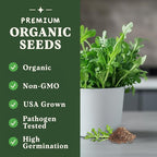 Seedboy Organic Arugula 'Slow Bolt' Seeds for Planting Indoor and Outdoor, Non-GMO and USDA Certified Herb Seed Packet for Hydroponic Garden Indoor or Planting Outdoors (Slow Bolt Arugula)