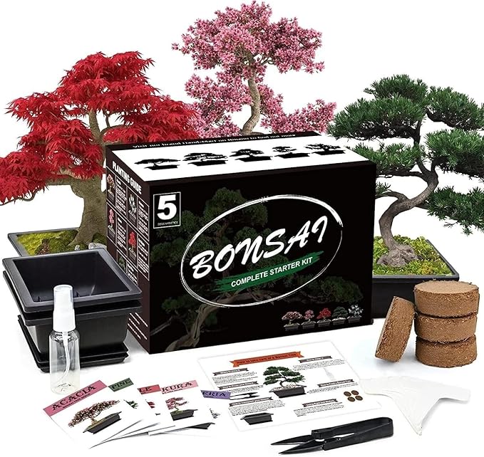 Indoor Bonsai Starter Kit - 5 Seeds Growing Complete Set with Gardening Tools for Beginners, Home DIY Mini Garden Gift for Adults
