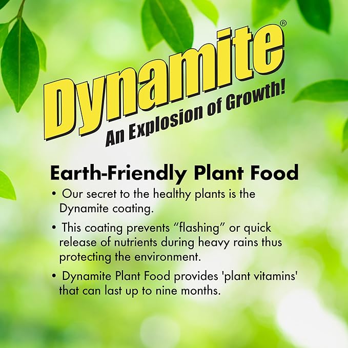 Dynamite Complete Plant Food Flower & Vegetable1 lb (Pack of 4)