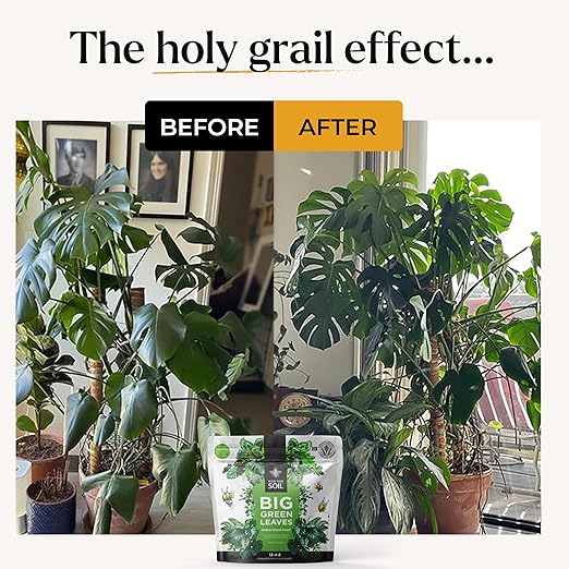 Big Green Leaves Indoor Plant Food – 4X Concentrated Houseplant Fertilizer with Sea Kelp – Makes 90 Gallons – Fast-Acting Mineral Formula, Made in USA (1 lb)