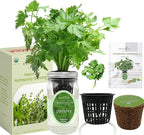 Hydroponic Herb Growing Kit, Self-Watering Mason Jar Herb Garden Starter Kit Indoor, Windowsill Herbs Garden, Grow Your Own Herbs from Organic Seeds (Parsley)