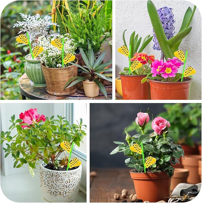 Fruit Fly Traps, 100 Pack Yellow Stick Traps, Fungus Gnat Traps, Plant Fly Stickers for Indoor and Outdoor Use Protect The Plant